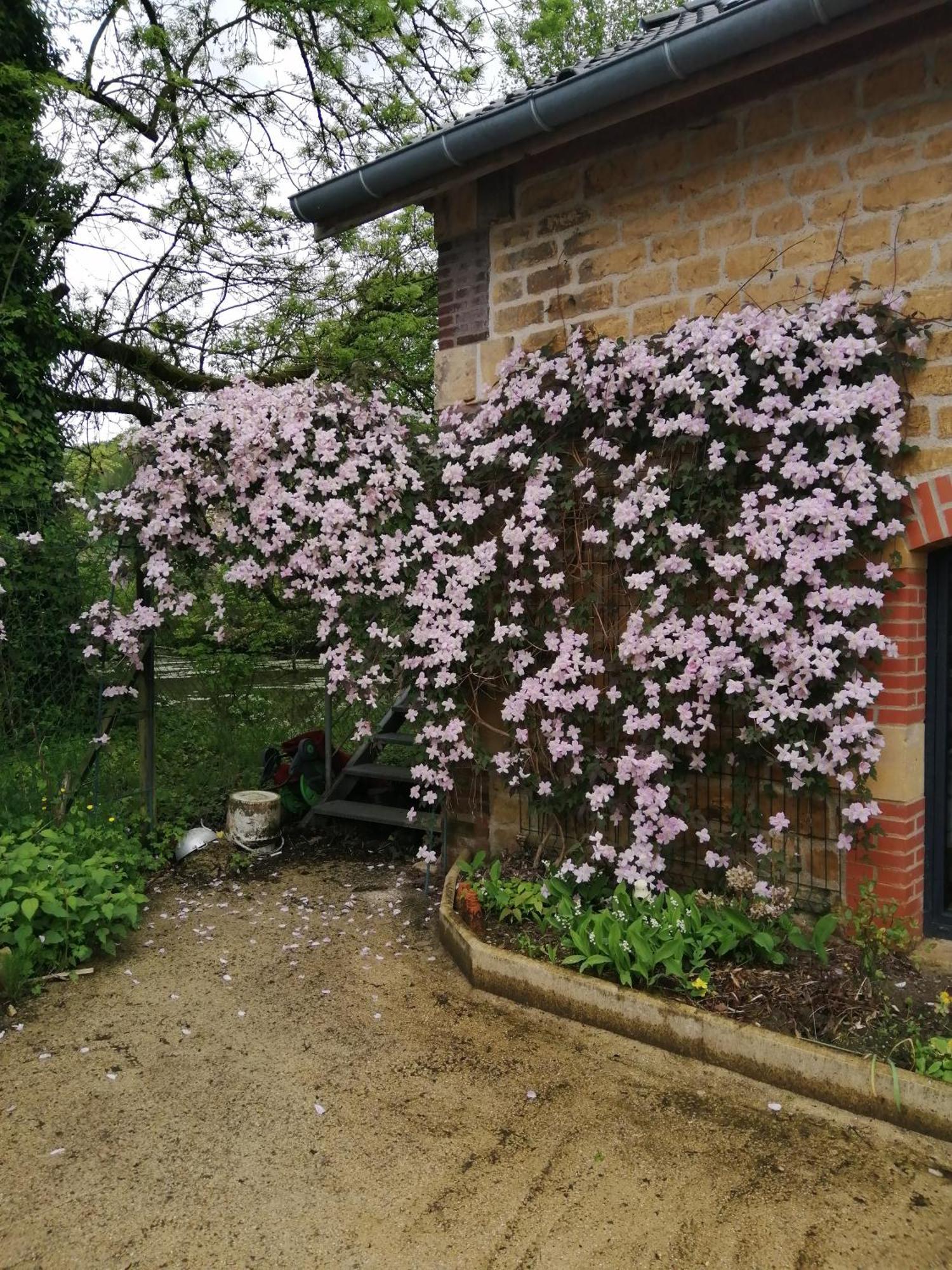 O Jardin De Boutancourt Villa Exterior foto