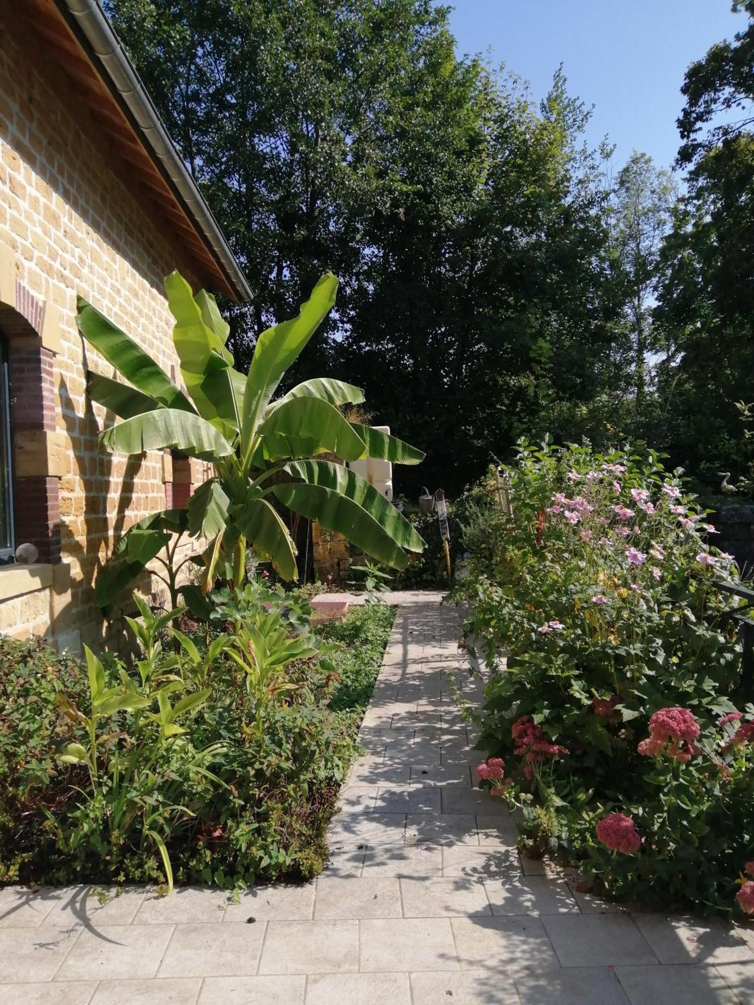 O Jardin De Boutancourt Villa Exterior foto