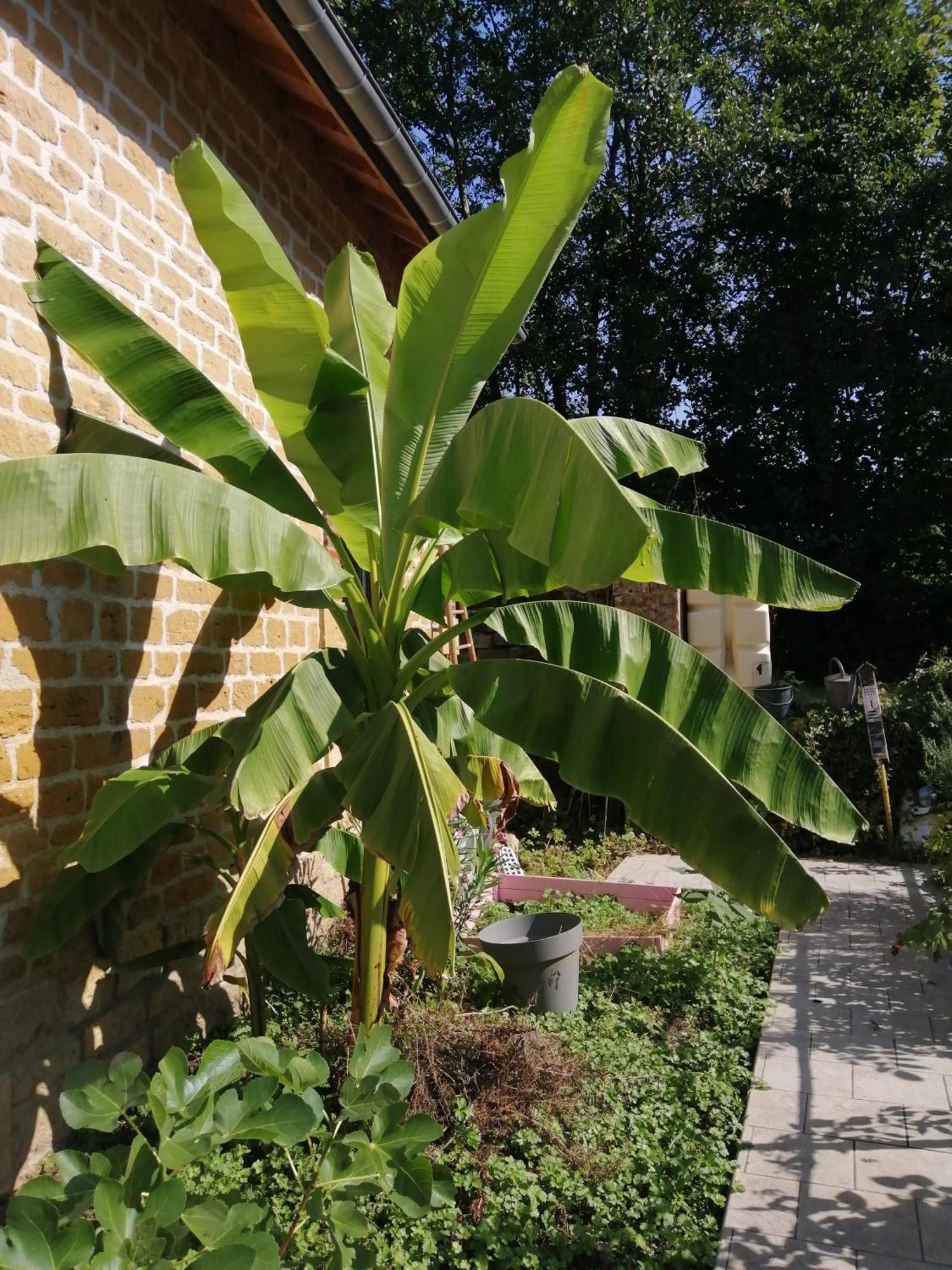 O Jardin De Boutancourt Villa Exterior foto